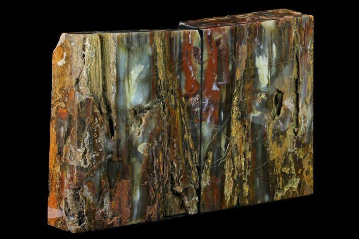 Tall, Petrified Wood Rip-Cut Bookends - Nevada #166084